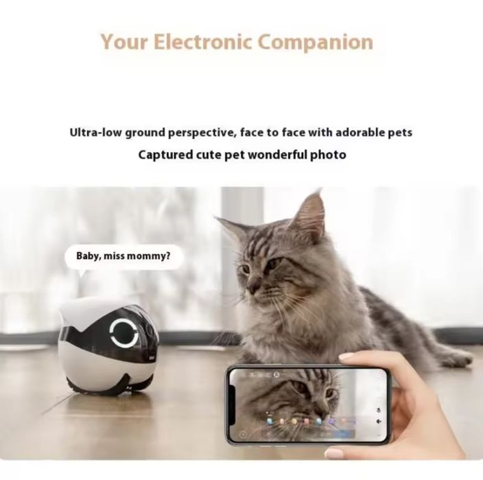 Мобільний Робот-Камера ENABOT EBO ROLA 2K