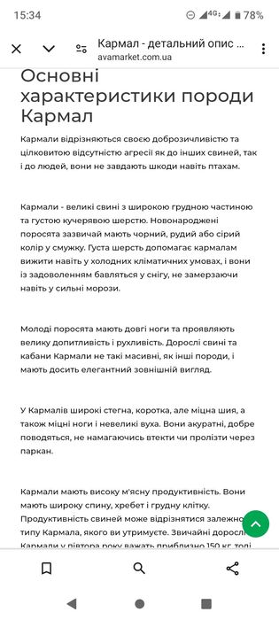 Еко--Ферма  пропонує поросят породи Кармал