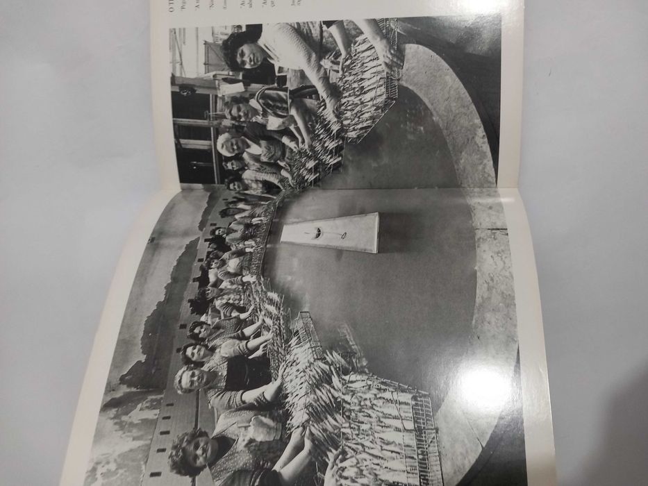 Retratos - A indústria conserveira em Setúbal
