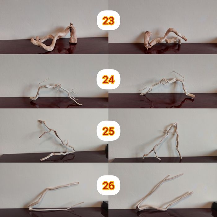 Продаю коряги, для декору акваріуму, або тераріуму