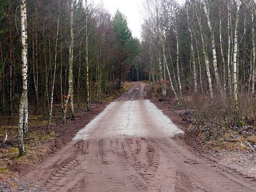 Budowa dróg dojazdowych, leśnych, budowa wjazdów zjazdów z drogi