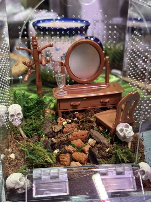 Terrarium domek dla ptasznika z wystrojem domek dla lalek z meblami