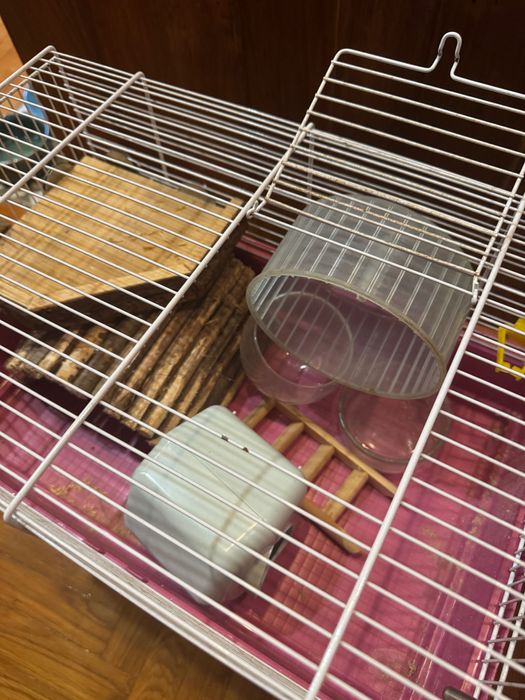 Gaiola hamster bom estado