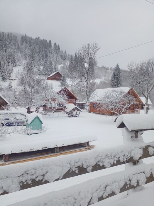 Здається котедж на три окремі номери