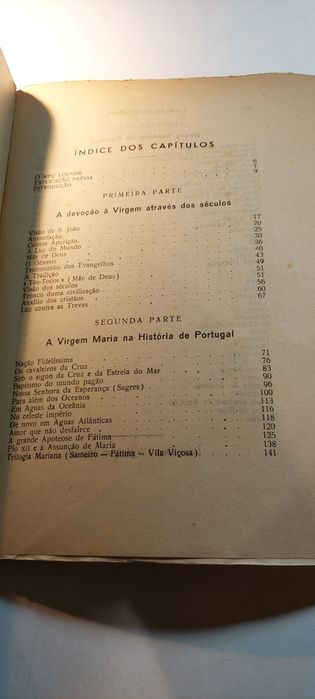 A Virgem da Lusitânia - Gonçalo de Serpa