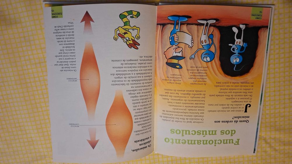 Coleção de livros Era uma vez O Corpo humano