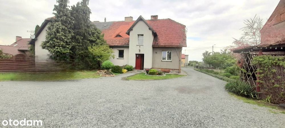 Przestronne mieszkanie z 800 m² ogrodem
