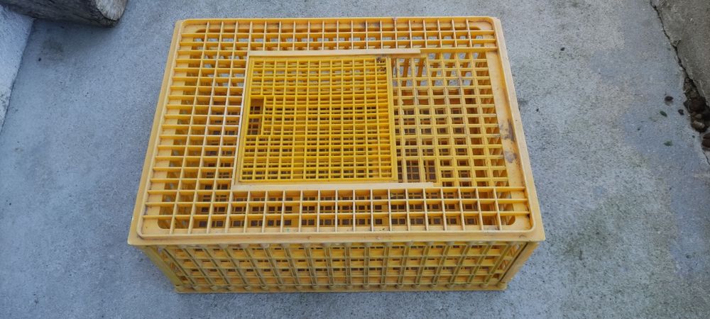 Gaiolas para transportar animais