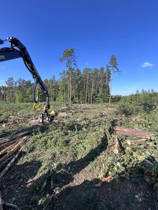 Wycinka drzew, karczowanie dzialek, mulczerowanie