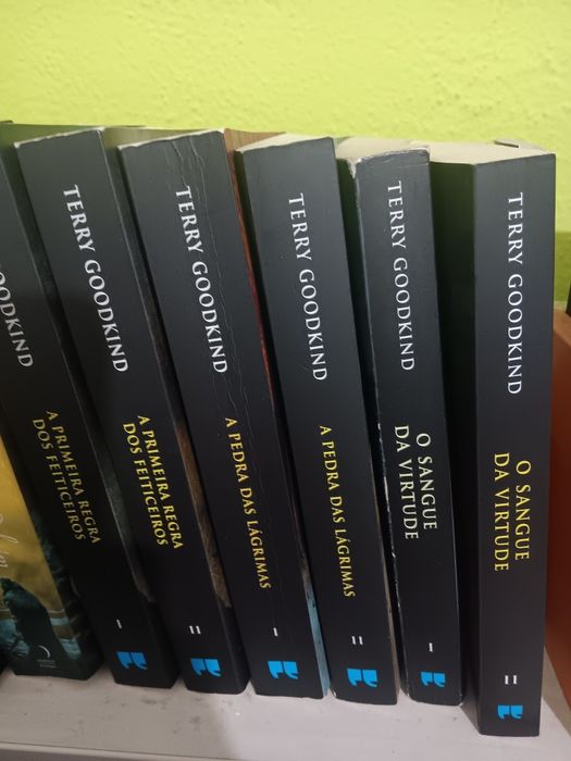 Saga A Espada da Virtude
