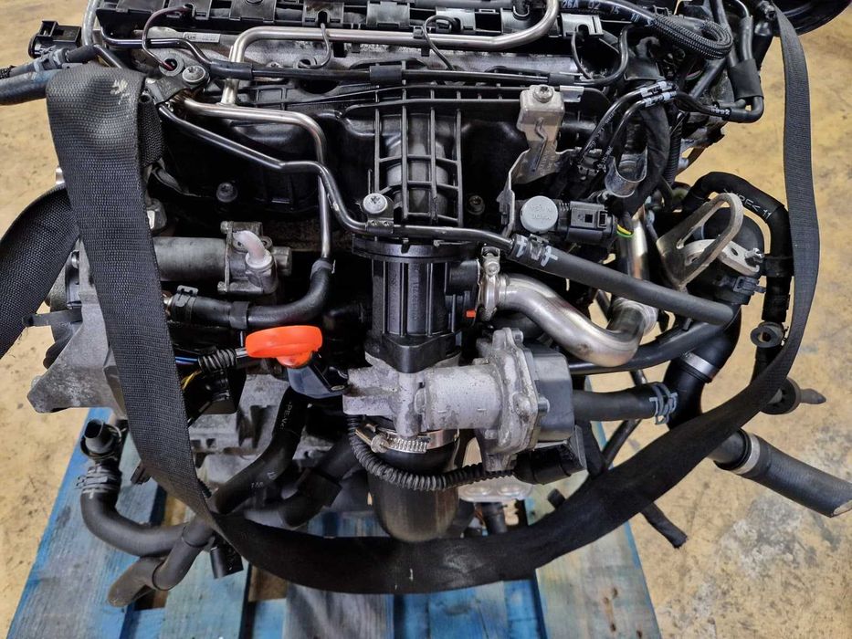 Motor usado CAY VW GOLF VI 6 1.6 TDI 105CV CAYC 3 Tubos SEAT AUDI