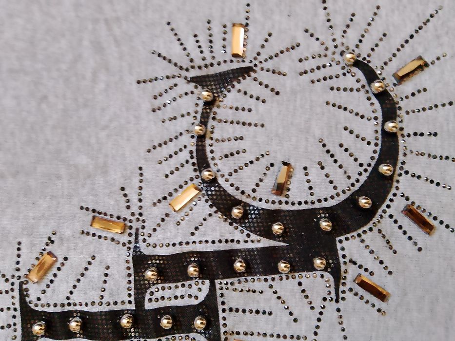 Koszulka nowa, marka Ambitionfly