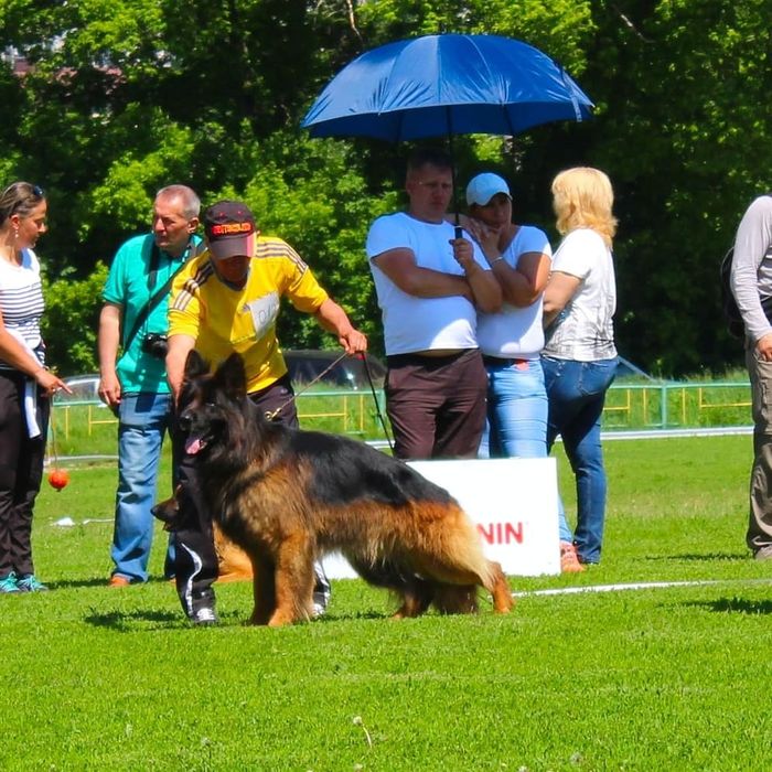Предлогаю для вязки