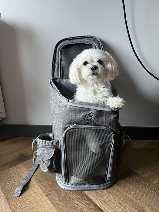 Plecak transporter dla psa kota