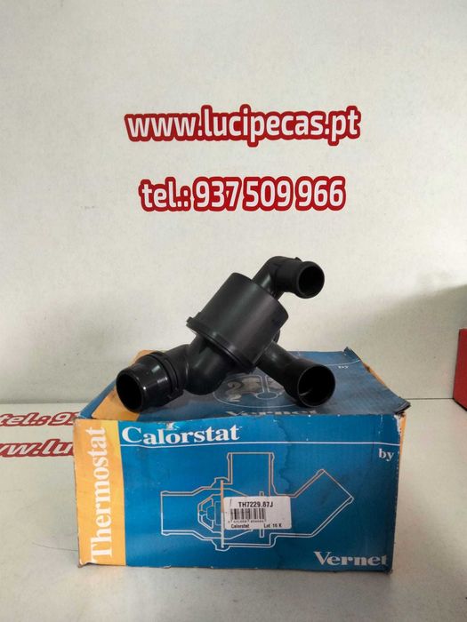 TH7229.87J  Termóstato // Audi- Seat