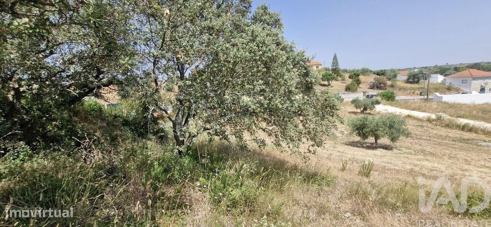 Terreno em Azambujeira e Malaqueijo de 3650,00 m2