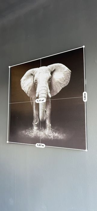 Quadro Decorativo Elefante – Imponente e Sofisticado
