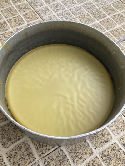 Cera e vela de abelhas