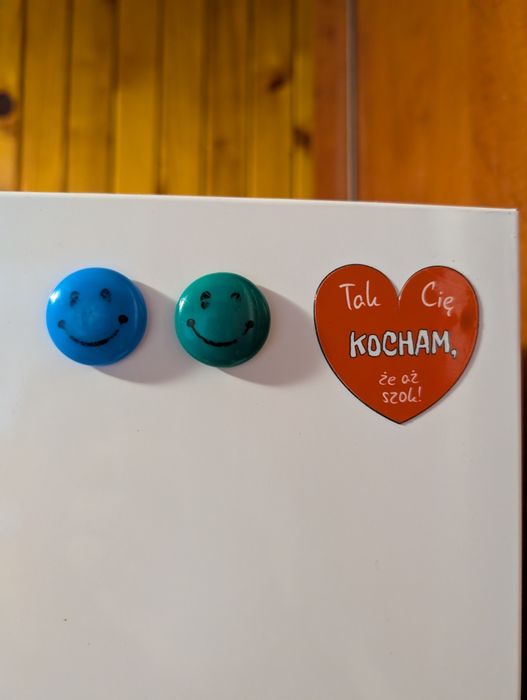 Magnes  na lodówkę