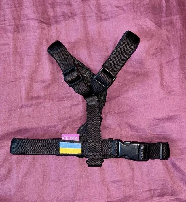 Шлейка для собак Icedog