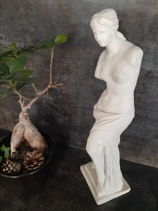 Afrodyta posąg gipsowy