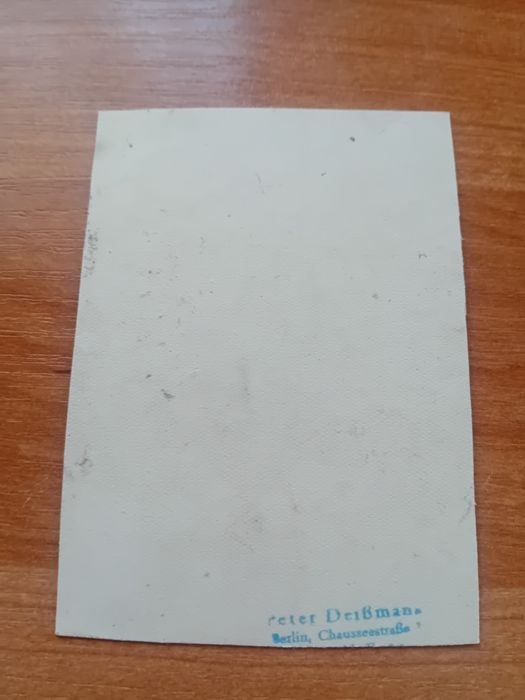 Wizerunek/zdjęcie Wiedeńskiego malarza