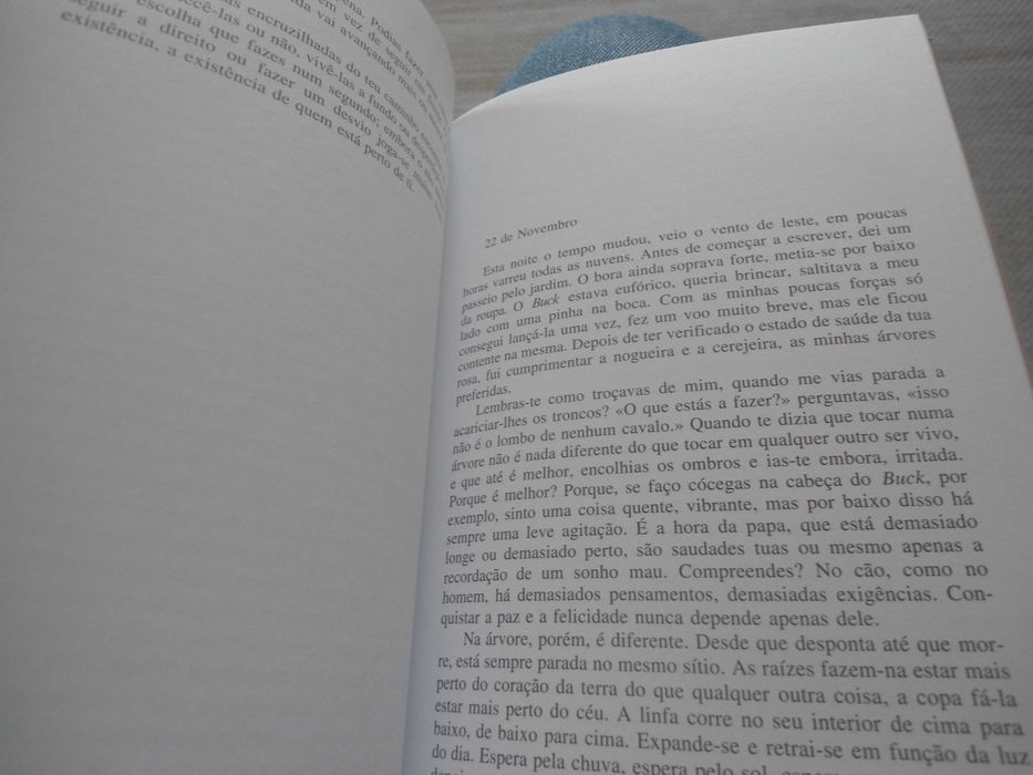 Vai onde te leva o coração por Susanna Tamaro