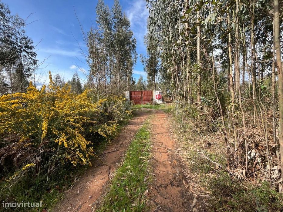 Terreno / Seia, Tourais e Lajes — Tourais E Lajes, Guarda