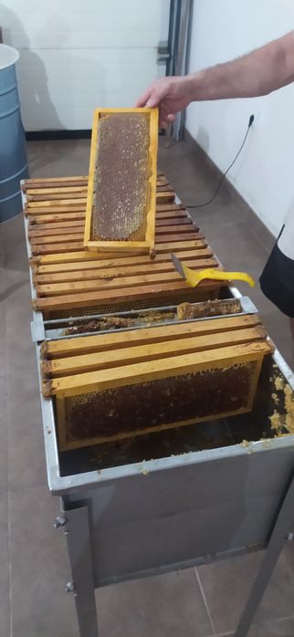 Mel Multifloral, produção própria