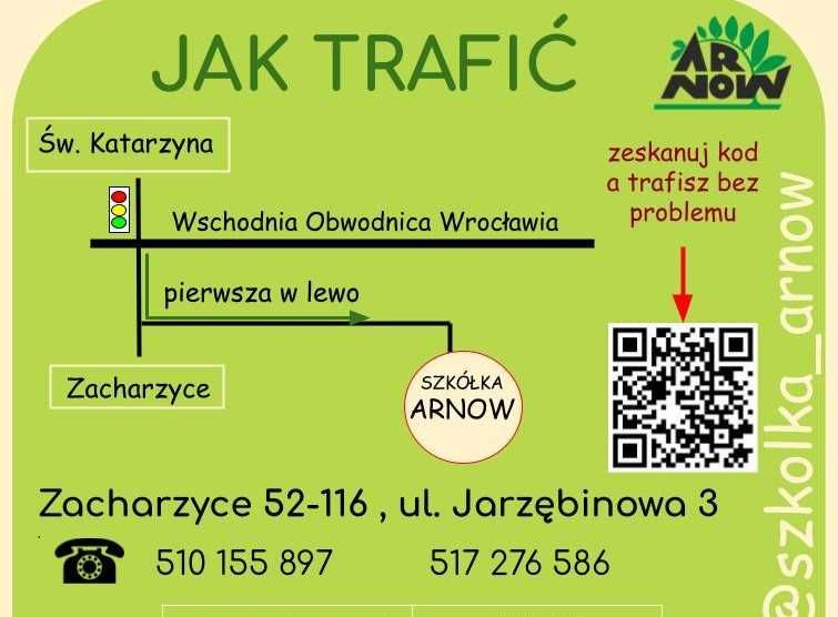 brzoza pożyteczna Doorenbos