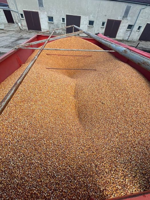 Wóz przeładowczy,przyczepa przeładunkowa  Cornex 15/4 Horsch ,hawe ,metaltech