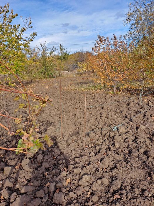 Продаж дачі 90 кв.м в кооперативі р-н. с. Богатирівка