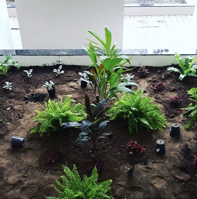 Serviço profissional de jardim