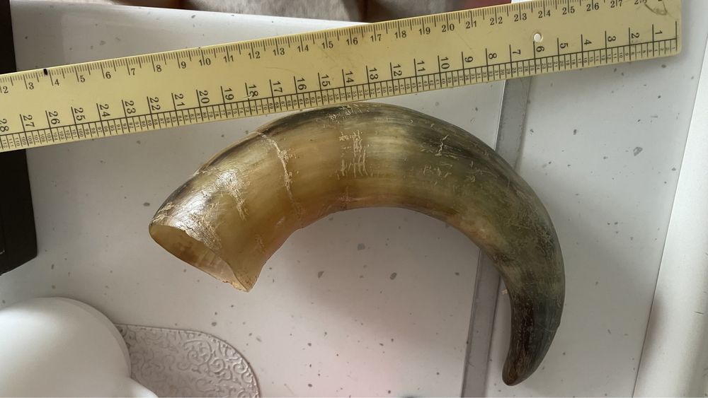 Натуральний ріг