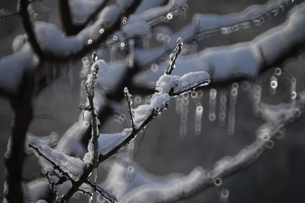 Tamron 500/8 TELE MACRO Adaptall Pentax K Canon FD Minolta MD, Nikon F