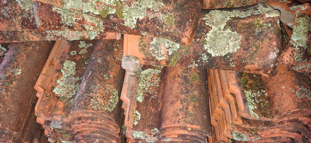 Telhas  e Topos Usadas (CERÂMICA  SOTELHA)