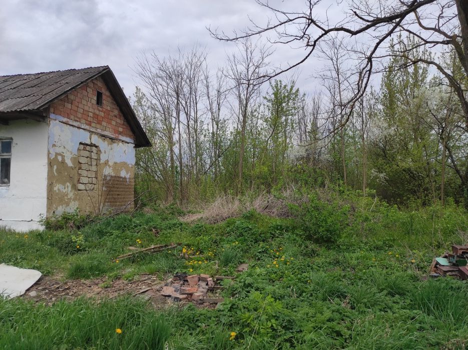 Продам ділянку 36 сот. під забудову — с. Шипинці, р-н Зарутки