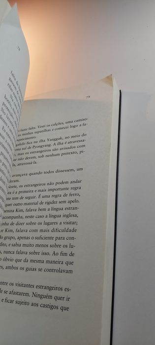Dentro do Segredo - José Luís Peixoto
