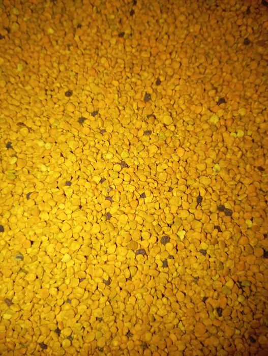 Свіжий бджолиний пилок,пильца