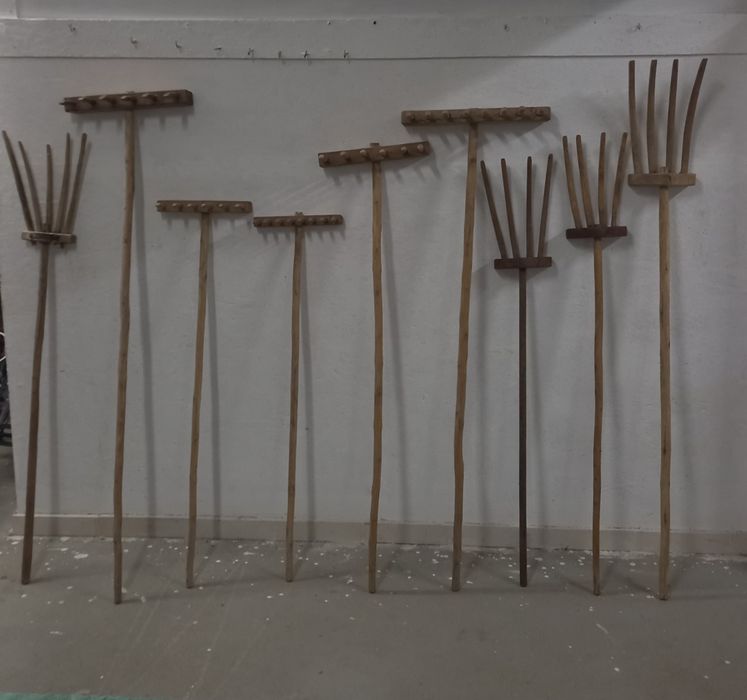 Conjunto de Ferramentas Agrícolas Antigas em Madeira (Ancinhos e Forquilhas)