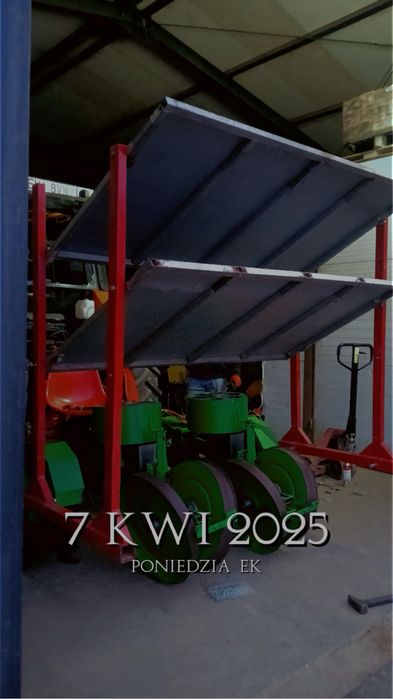 Usługa sadzenia kapusty RTK 2,5 cm