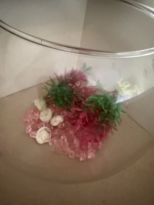 Aquário com decorações