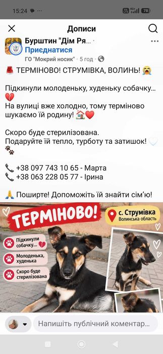 Цуценя шукає дім!!!