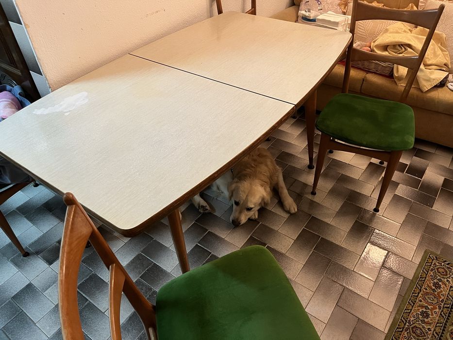 Mesa de Jantar e Cadeiras Vintage / Mid-Century (Estilo Olaio)