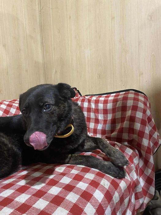 Pokochaj Aziego odda ci serce