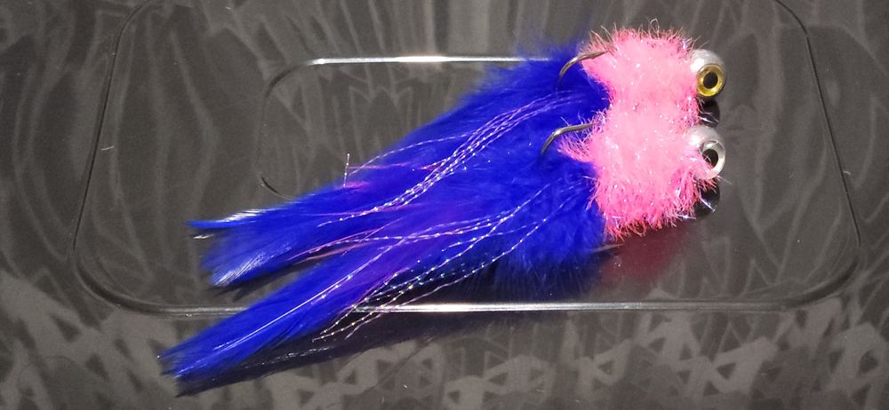 Koguty Sandaczowe Ł.W.Kocury