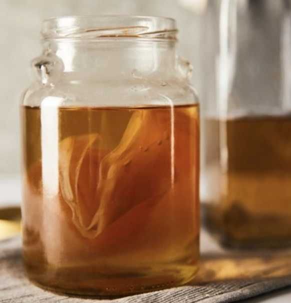 Kombucha 10 cm – grzybek SCOBY + płyn startowy + ściereczka + ulotka
