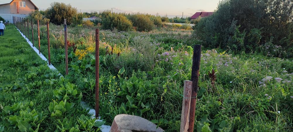 Земельна ділянка під будівництво, околиці м. Сарни, Рівненська обл