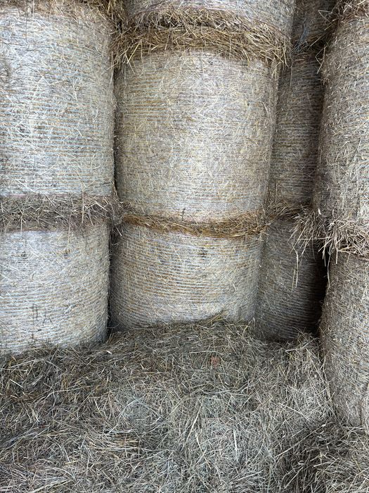 Słoma w belach 2025