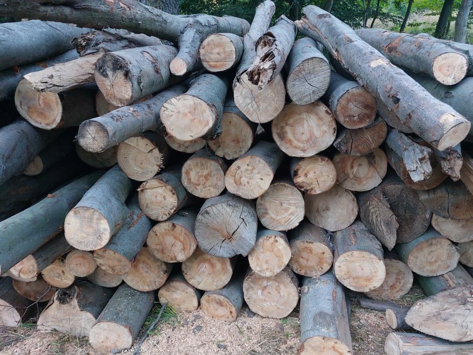 Tanie drewno kominkowe opalowe